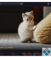 抖音Windows电脑客户端PC版