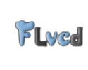 FLVCD硕鼠v0.4.8.1 正式版去广告绿色版