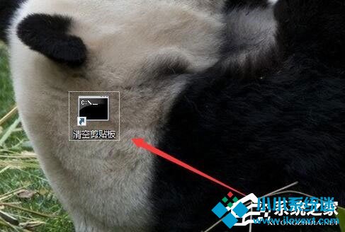 Win10系统怎么清空剪切板？Win10系统清空剪切板的方法