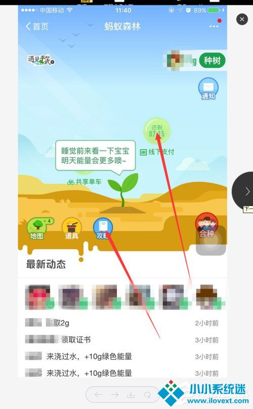 支付宝蚂蚁森林能量怎么获取？