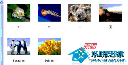 WinXP缩略图显示异常的解决方法