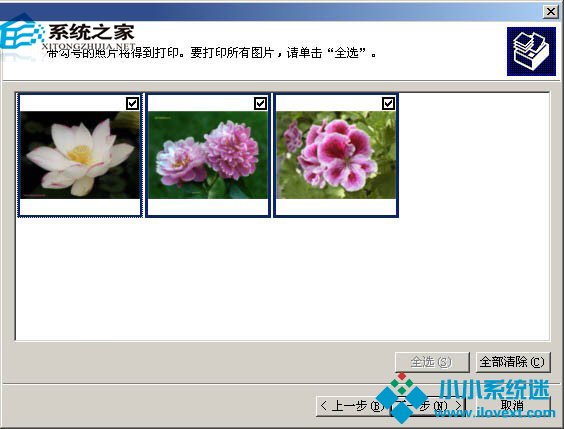  WinXP如何在一张纸上打印多幅图片